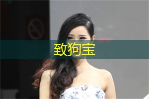 致狗宝